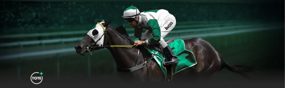 布朗獨立發,揮獲,孫銘徽輔助,中国体彩,中国竞猜官网,中国体育竞猜平台,中国足球宾果彩票网