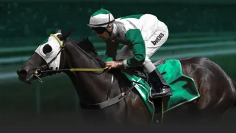 布朗獨立發揮獲23分11板8助，孫銘徽輔助12分6助攻，廈門隊輕取四川獲四連勝