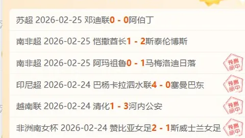 德國足球新舵手纳格尔斯曼扬帆起航，备战2025欧洲杯新征程