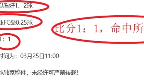 周五003国际赛分析：澳大利亚VS喀麦隆专家推荐